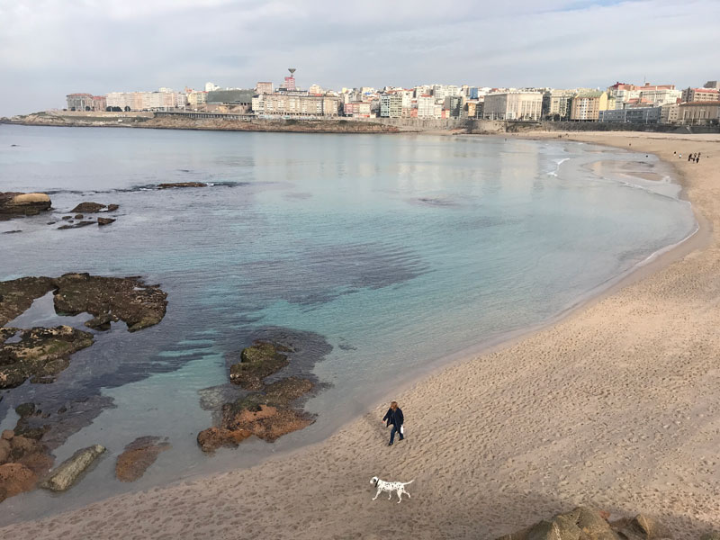 A Refined & Unexpected Gastronomic Jewel in La Coruña